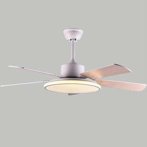 Brady - Modern LED Light Ceiling Fan | Bright & Plus.