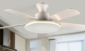 Brady - Modern LED Light Ceiling Fan | Bright & Plus.