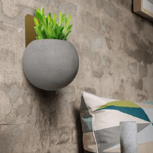 Christophe - Modern Wall Planter | Bright & Plus.