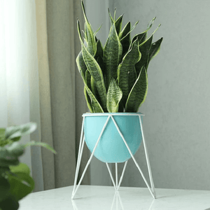 Darcy - Modern Nordic Iron Geometric Planter | Bright & Plus.