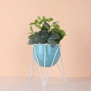 Darcy - Modern Nordic Iron Geometric Planter | Bright & Plus.