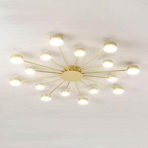 Drexel - Irregular Spoke Round Ceiling Light | Bright & Plus.