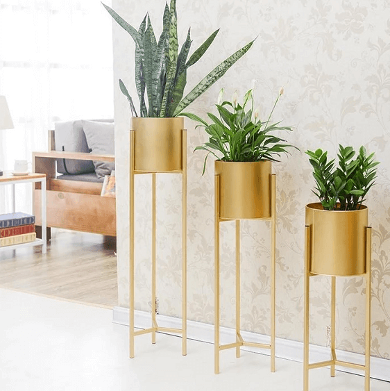 Gold Standard Pot | Bright & Plus.