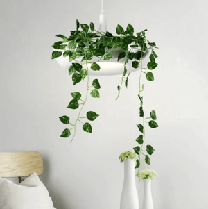 Mauricio - Modern Planter Lampshade | Bright & Plus.