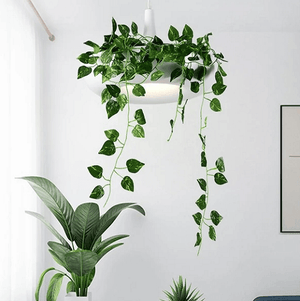 Mauricio - Modern Planter Lampshade | Bright & Plus.