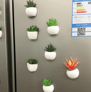 Mini Fridge Magnet Planter | Bright & Plus.