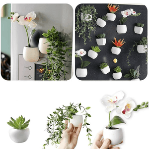 Mini Fridge Magnet Planter | Bright & Plus.