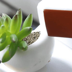 Mini Fridge Magnet Planter | Bright & Plus.