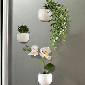 Mini Fridge Magnet Planter | Bright & Plus.