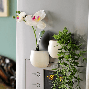 Mini Fridge Magnet Planter | Bright & Plus.