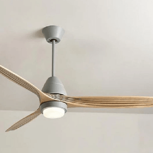 Modern Nordic Ceiling Fan with LED Light | Bright & Plus.