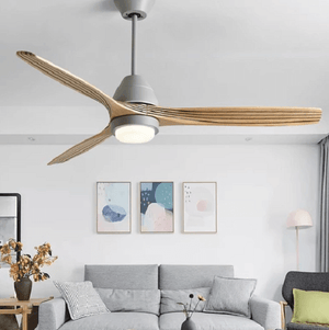 Modern Nordic Ceiling Fan with LED Light | Bright & Plus.