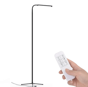 Sleek Floor Lamp | Bright & Plus.