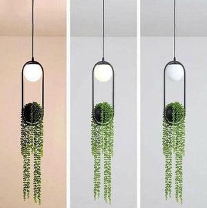 Wren - Sky Garden Planter Light | Bright & Plus.