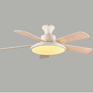 Brady - Modern LED Light Ceiling Fan | Bright & Plus.