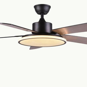 Brady - Modern LED Light Ceiling Fan | Bright & Plus.