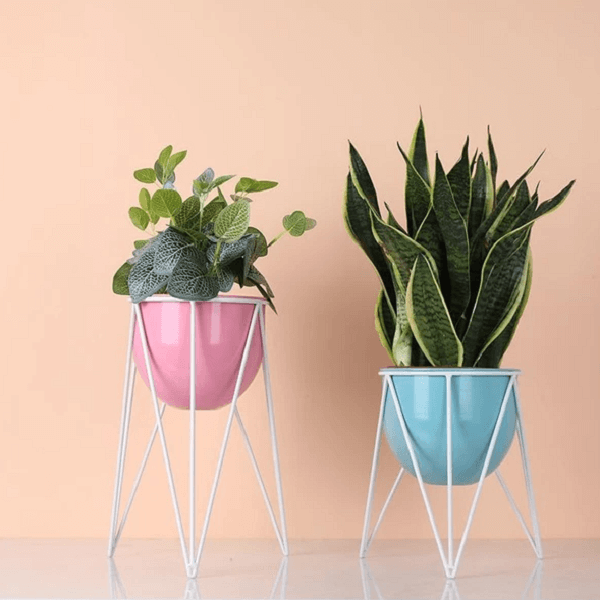 Darcy - Modern Nordic Iron Geometric Planter | Bright & Plus.