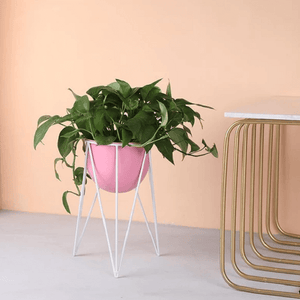 Darcy - Modern Nordic Iron Geometric Planter | Bright & Plus.