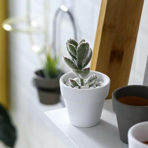 Esma - Rounded Wall Planter | Bright & Plus.