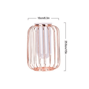 Florin - Modern Iron Frame Vase | Bright & Plus.