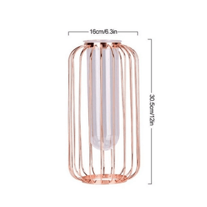 Florin - Modern Iron Frame Vase | Bright & Plus.