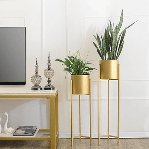 Gold Standard Pot | Bright & Plus.