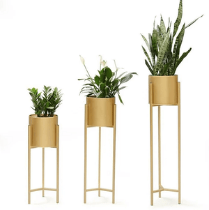 Gold Standard Pot | Bright & Plus.