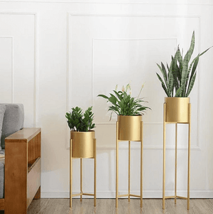 Gold Standard Pot | Bright & Plus.