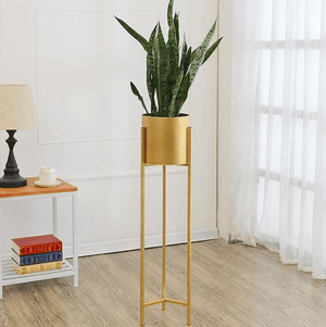 Gold Standard Pot | Bright & Plus.