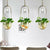 Lileas - Modern Hanging Planter Lamp | Bright & Plus.