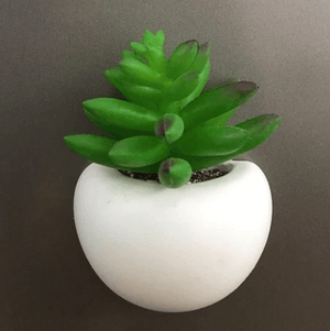 Mini Fridge Magnet Planter | Bright & Plus.