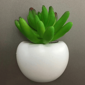 Mini Fridge Magnet Planter | Bright & Plus.