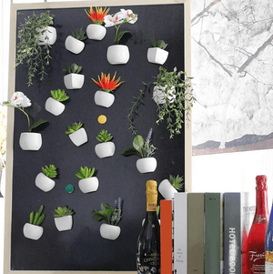 Mini Fridge Magnet Planter | Bright & Plus.