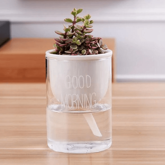 Shuka - Automatic Watering Ceramic Planter Pot | Bright & Plus.